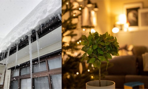 冬日里的暖意 花王“润”心相伴